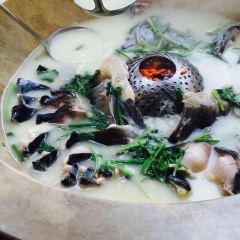 告庄特色海鲜蒸汽石锅鱼旗舰店 User Photo
