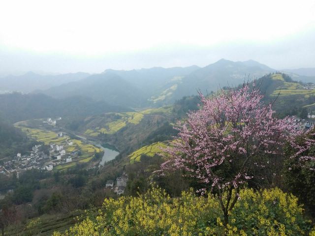 스탄촌