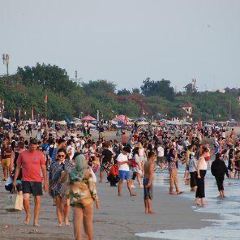 La Lucciola User Photo