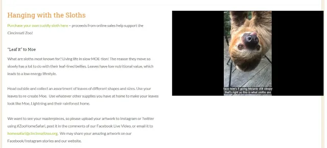 virtual tour of zoo Amazing Virtual Zoo Tours & Museums to Explore on Your Couch