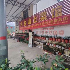 大金山土菜馆 User Photo