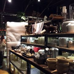 Addiction Aquatic Development User Photo