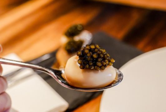 Burnt Ends User Photo