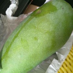 Lixiansheng (jiningyunhecheng) User Photo