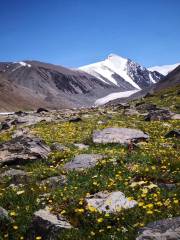 The Harike Glacier