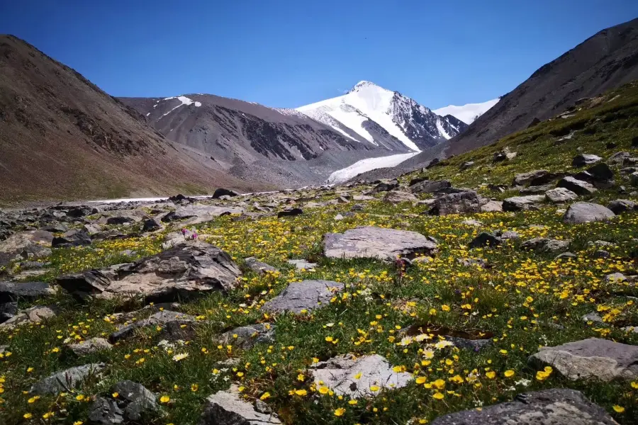 The Harike Glacier