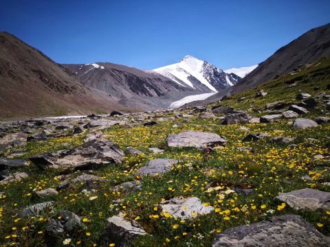 Karlik Glacier