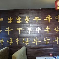 Jin Tou Ba Nao Niu Yi Guo User Photo
