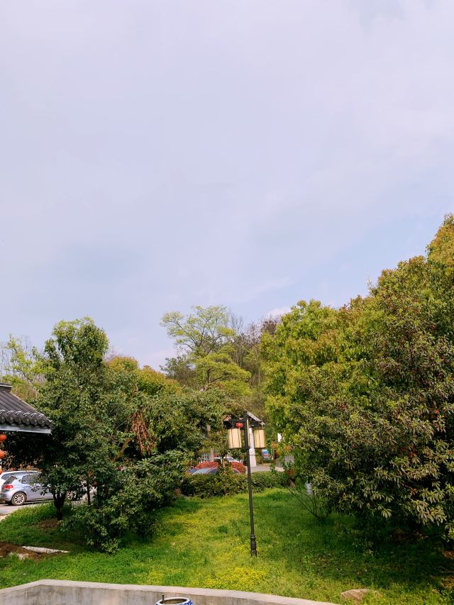 老山國家森林公園
