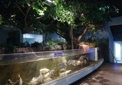 Hongshui River Aquarium, Dahua