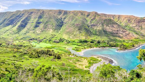 Maui County