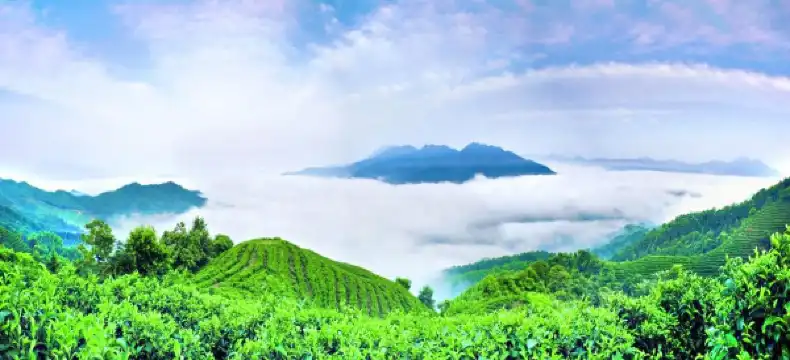 Hotels in Zhaoping