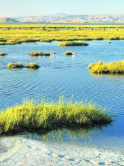 Baylands Nature Preserve