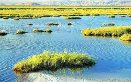 Baylands Nature Preserve