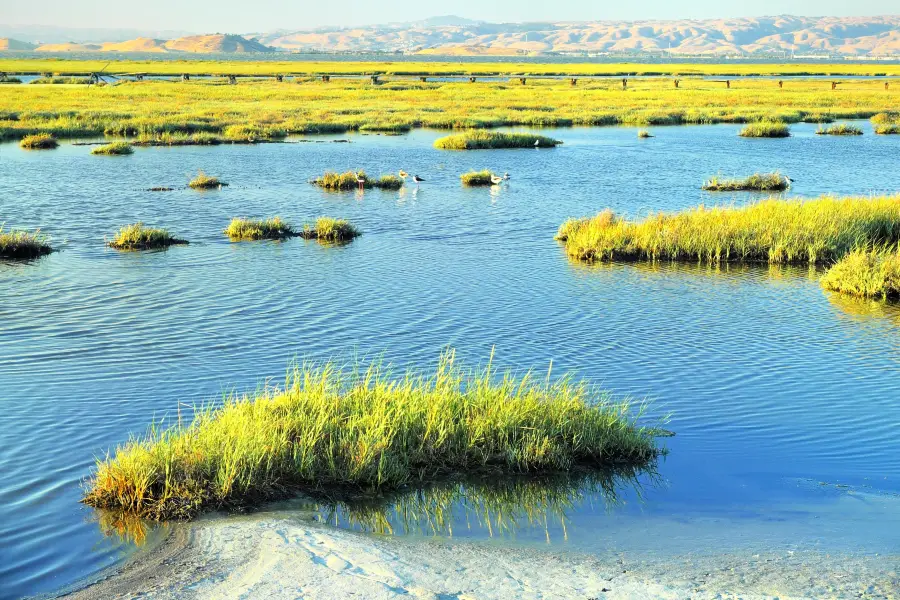 Baylands Nature Preserve