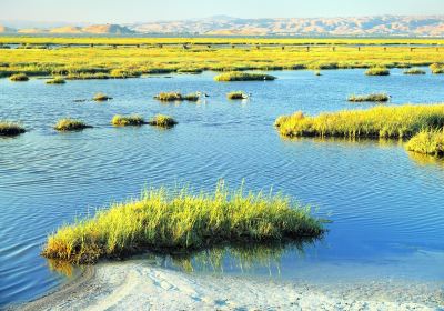 Baylands Nature Preserve