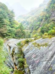 Suzaku National Forest Park