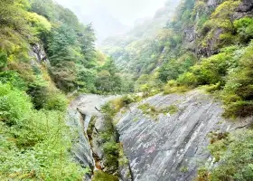 Suzaku National Forest Park
