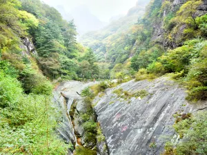 Zhuque National Forest Park