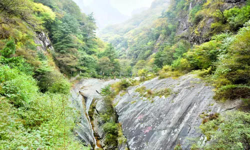 Zhuque Scenic Area
