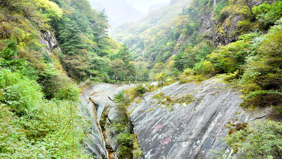 Zhuque National Forest Park