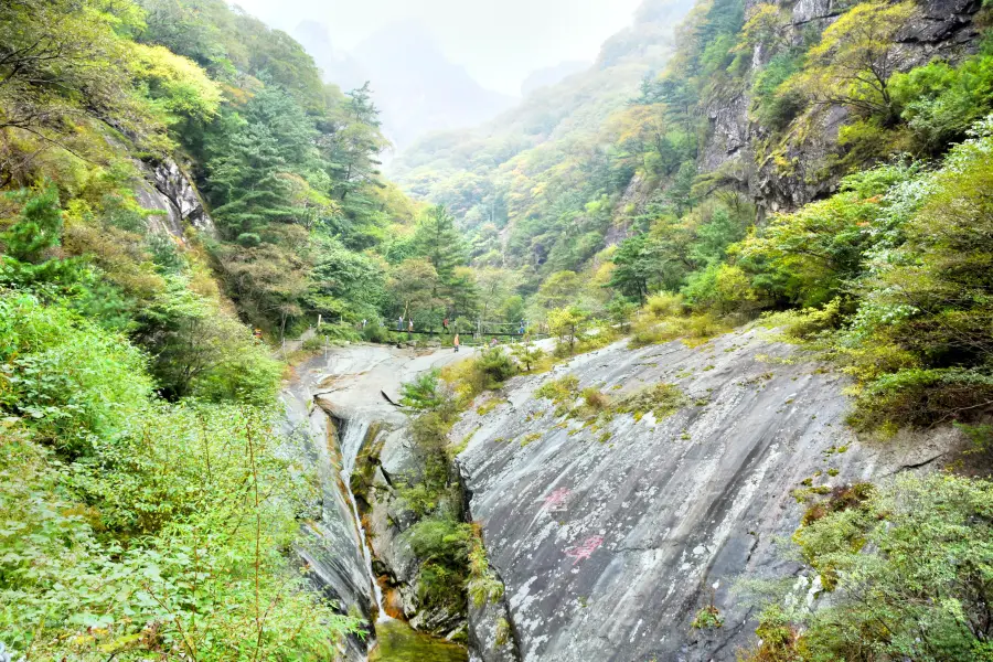 Suzaku National Forest Park