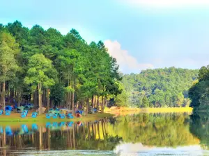 Pang Tong Royal Forest Park Project 2 (Pang Oung)