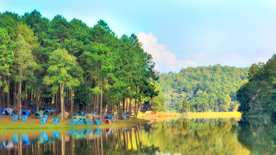 Pang Tong Royal Forest Park Project 2 (Pang Oung)