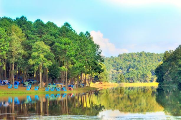 Pang Tong Royal Forest Park Project 2 (Pang Oung)
