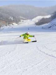 夢都美滑雪場