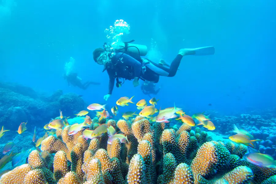 Dadonghai diving