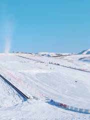 Yemili Ski Field
