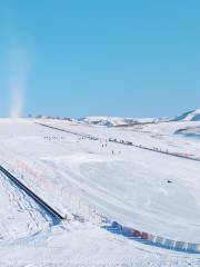 也迷裡滑雪場