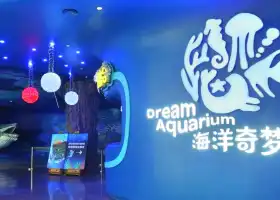 Dream Aquarium