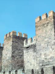 Kayseri Castle