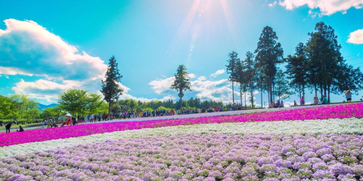 Hitsujiyama Park