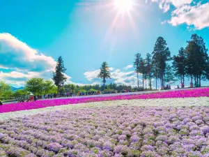Hitsujiyama Park