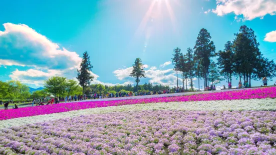 Hitsujiyama Park