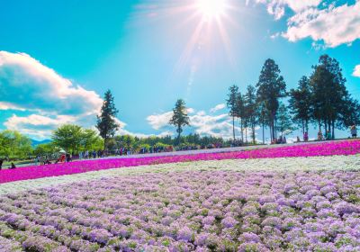 Hitsujiyama Park