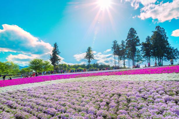 Hitsujiyama Park