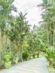 Kepong Botanic Gardens | FRIM - Forest Research Institute Malaysia
