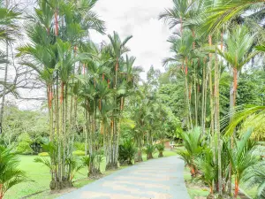 Kepong Botanic Gardens | FRIM - Forest Research Institute Malaysia