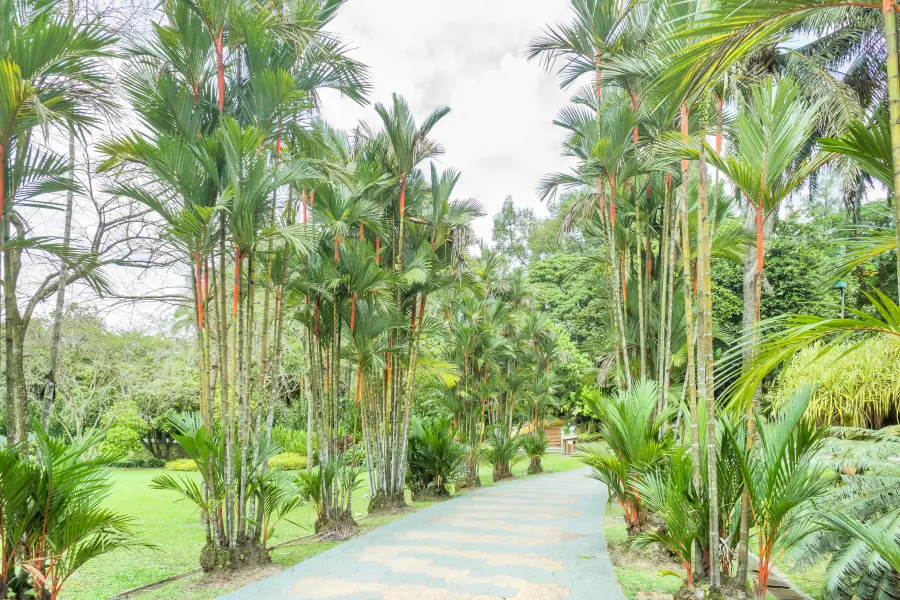 Kepong Botanic Gardens | FRIM - Forest Research Institute Malaysia