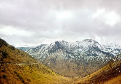 碧羅雪山