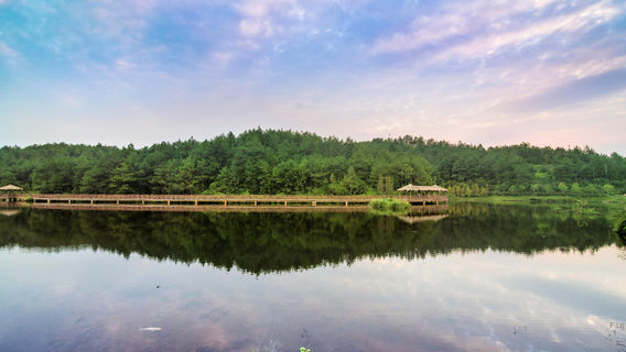 Tingjiang National Wetland Park