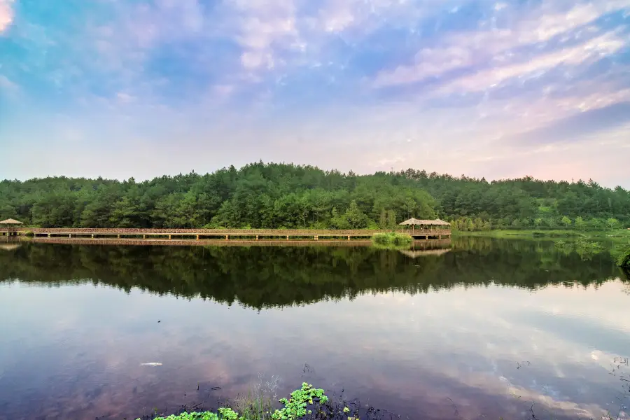 Tingjiang National Wetland Park