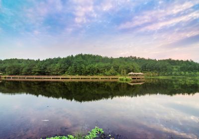 Tingjiang National Wetland Park