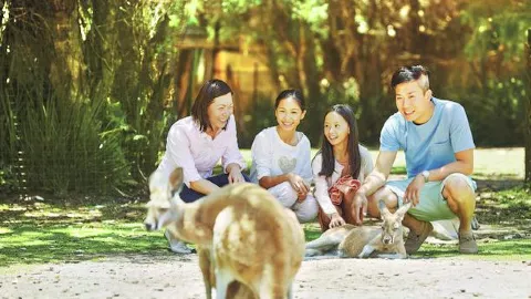 Caversham Wildlife Park attraction in Perth