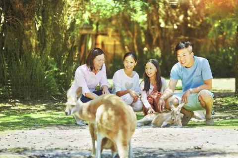 Caversham Wildlife Park