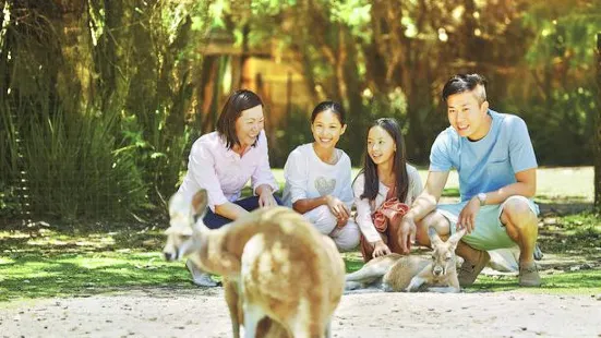 凱維森野生動物園